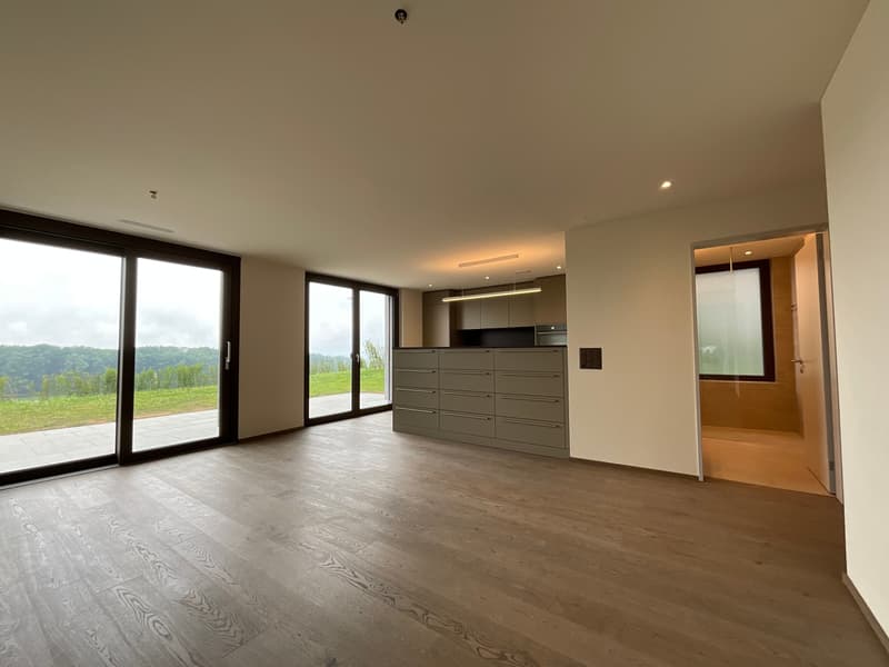 3.5-Zimmer-Garten-Wohnung mit atemberaubendem Ausblick und Zusatzraum (6)