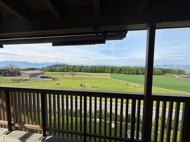 Appartement spacieux 3.5 pièces avec vue imprenable sur le panorama montagnard (10)