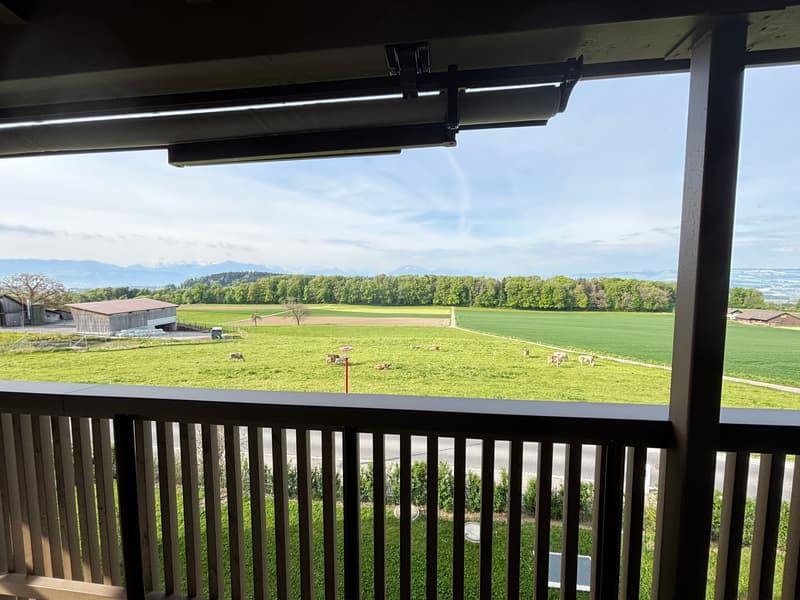Appartement spacieux 3.5 pièces avec vue imprenable sur le panorama montagnard (11)