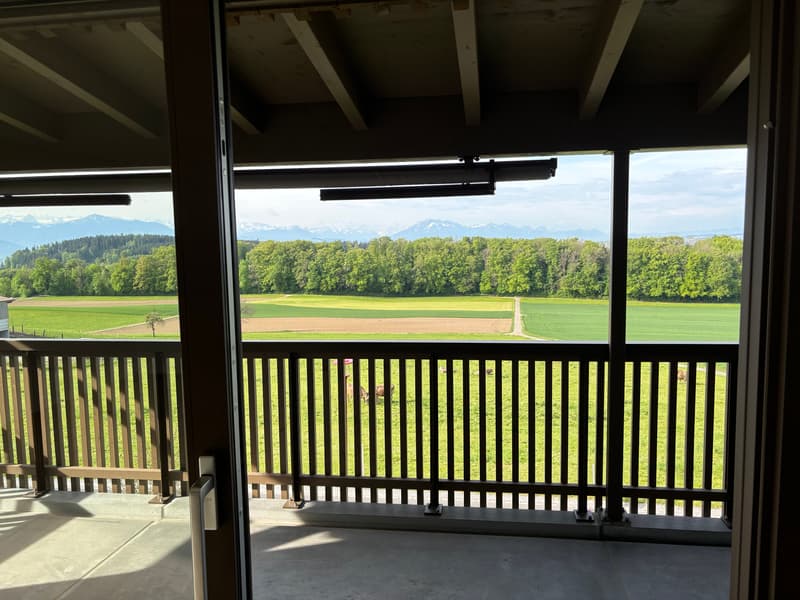 Appartement spacieux 3.5 pièces avec vue imprenable sur le panorama montagnard (21)