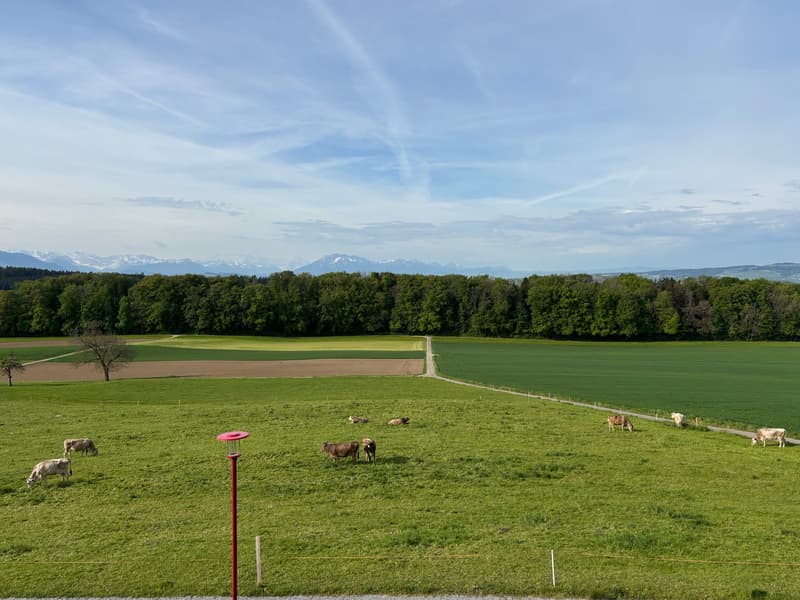 Appartement spacieux 3.5 pièces avec vue imprenable sur le panorama montagnard (23)
