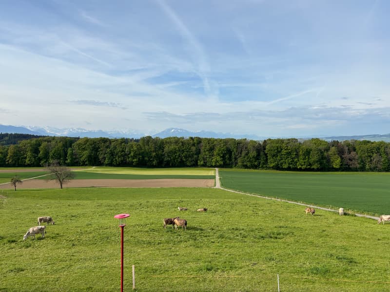 Appartement spacieux 3.5 pièces avec vue imprenable sur le panorama montagnard (22)