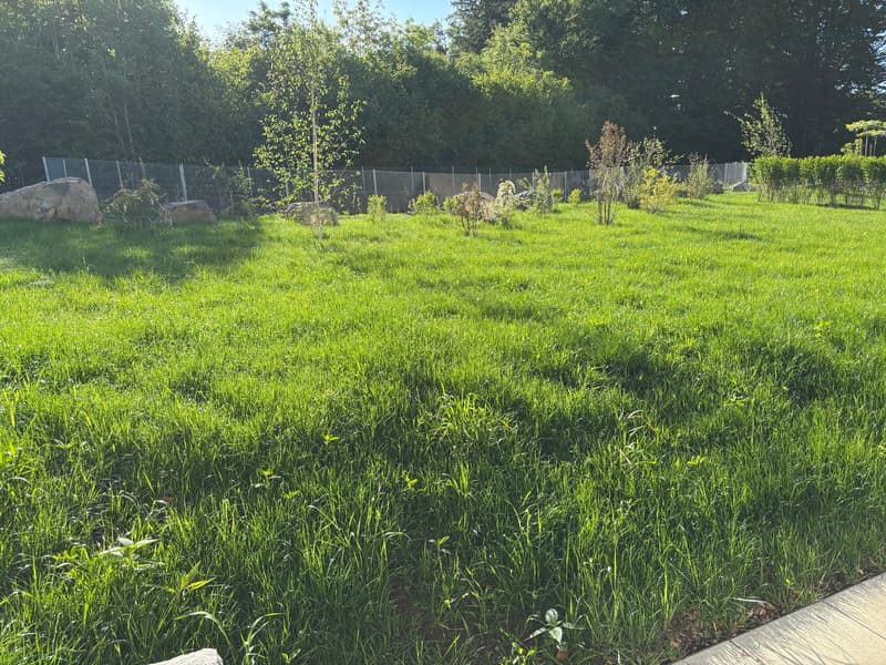 Location pour la première fois : paradis de jardin - appartement 4,5 pièces avec grand jardin (4)