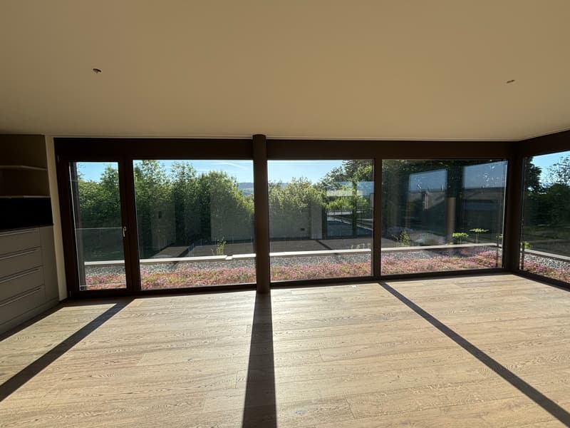 ERSTVERMIETUNG 3.5 Zimmer-Attika-Wohnung mit zwei Terrassen und Blick in die Natur (8)