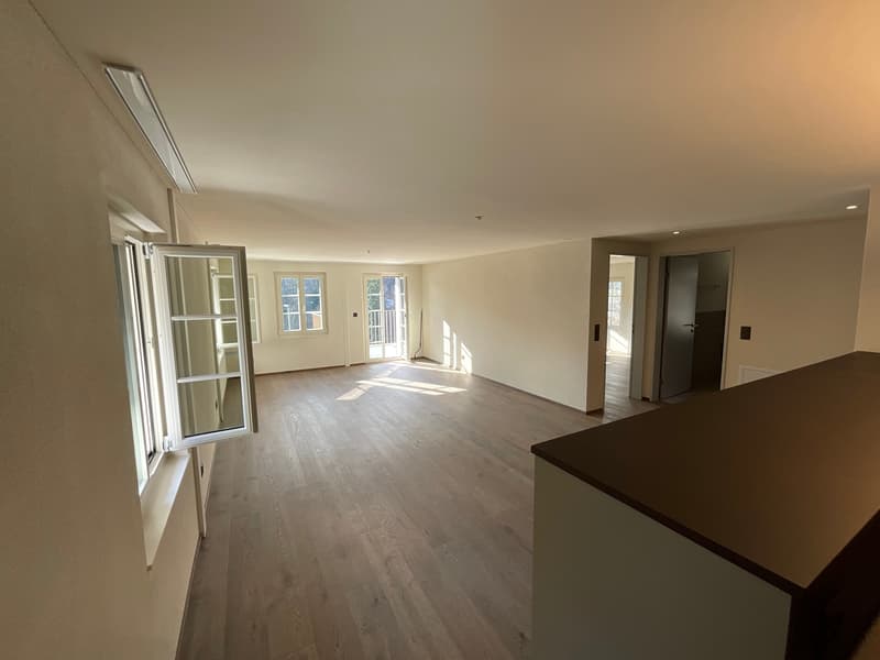 Charming old building meets new construction: FIRST RENTAL 4.5 room apartment (4)