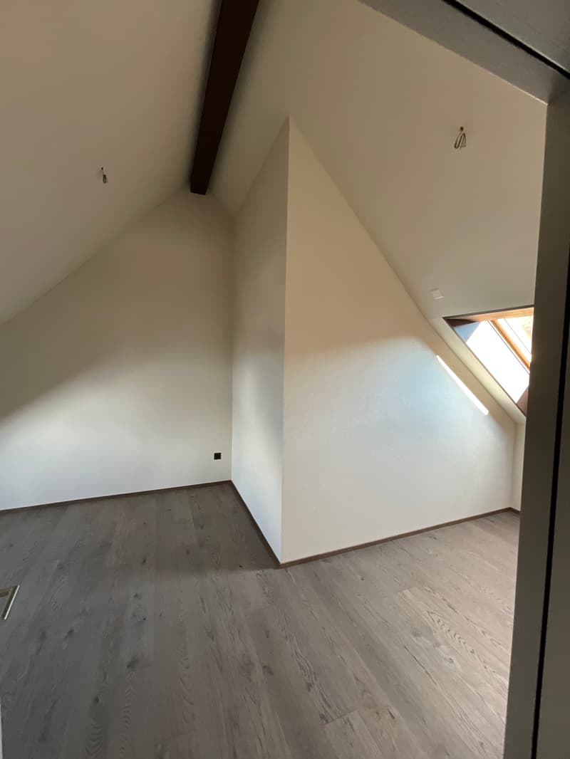 Charming old building meets new construction: FIRST RENTAL 4.5 room apartment (13)