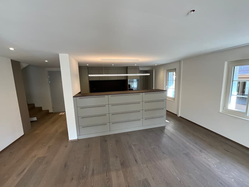 Charming old building meets new construction: FIRST RENTAL 4.5 room apartment (5)