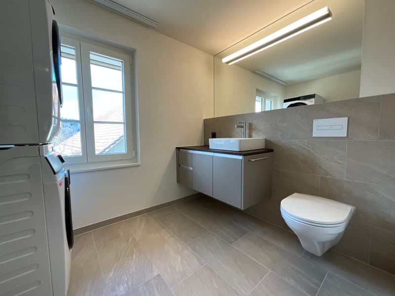 Charming old building meets new construction: FIRST RENTAL 4.5 room apartment (9)