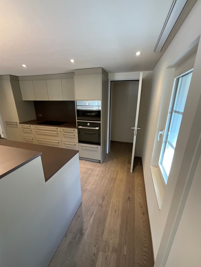 Charming old building meets new construction: FIRST RENTAL 4.5 room apartment (24)