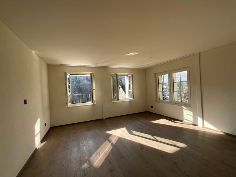Charming old building meets new construction: FIRST RENTAL 4.5 room apartment (6)