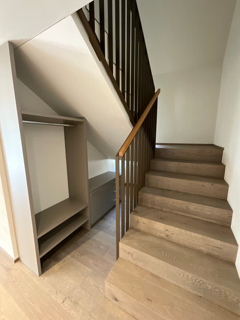 Charming old building meets new construction: FIRST RENTAL 4.5 room apartment (11)