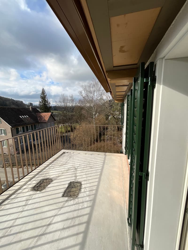 Charming old building meets new construction: FIRST RENTAL 4.5 room apartment (28)