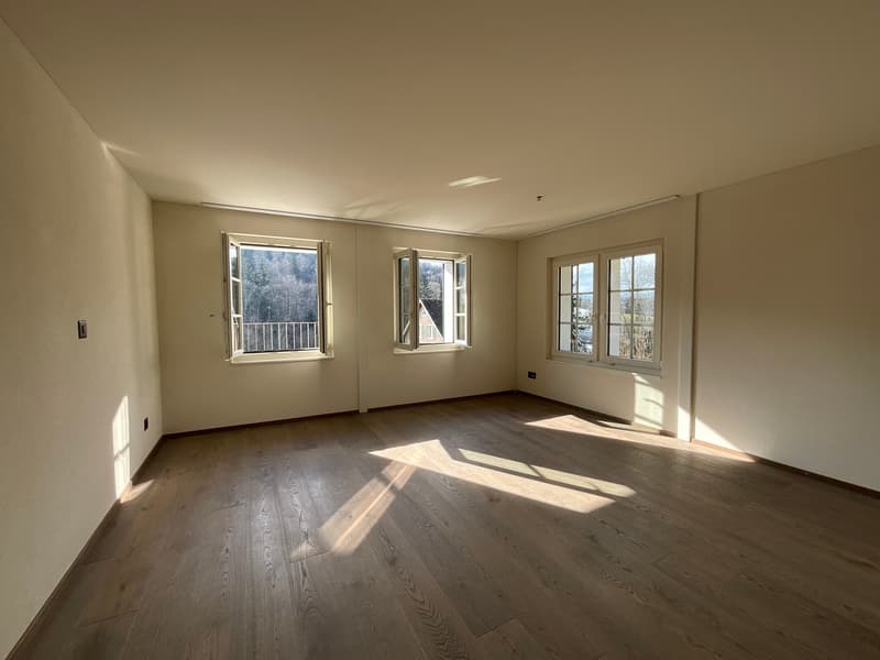 Charming old building meets new construction: FIRST RENTAL 4.5 room apartment (7)