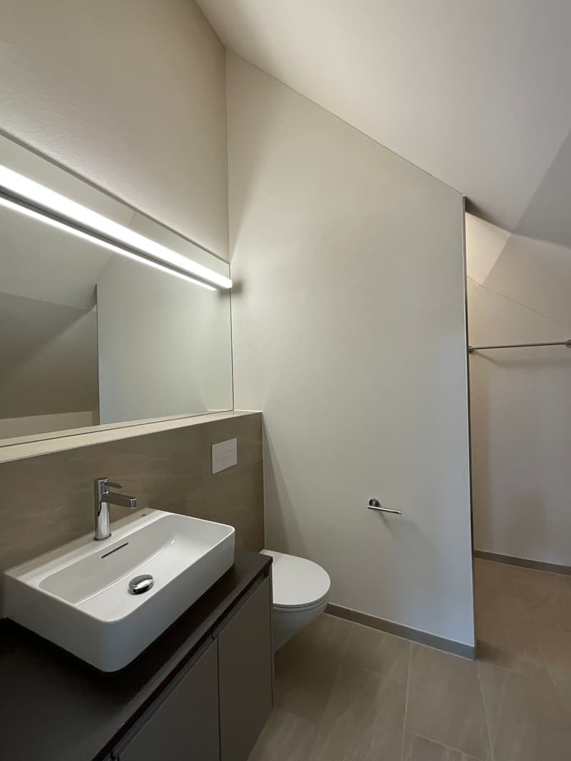 Charming old building meets new construction: FIRST RENTAL 4.5 room apartment (18)