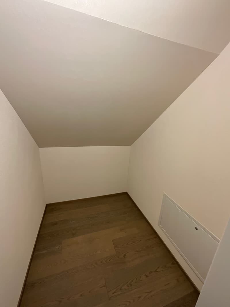 Charming old building meets new construction: FIRST RENTAL 4.5 room apartment (20)