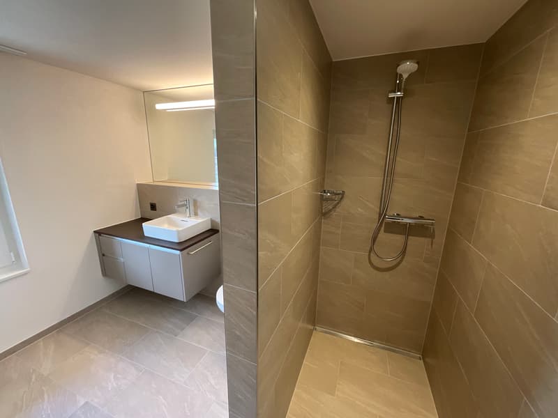 Charming old building meets new construction: FIRST RENTAL 4.5 room apartment (8)