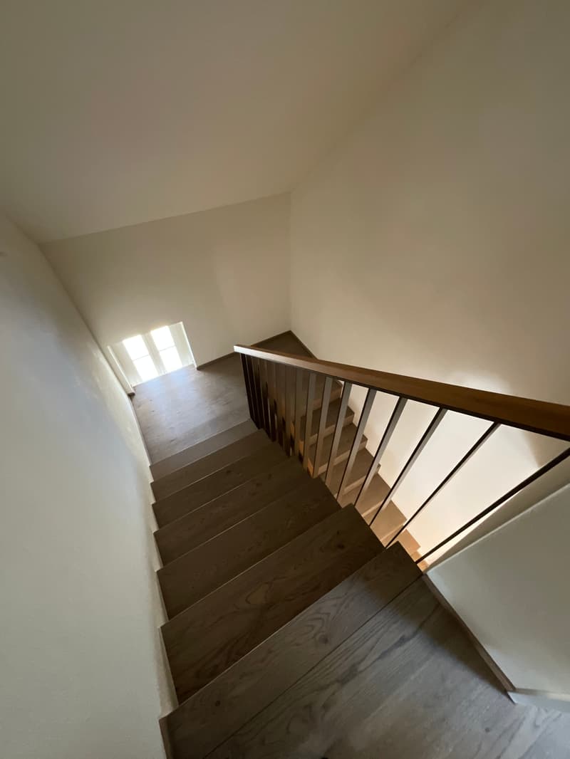 Charming old building meets new construction: FIRST RENTAL 4.5 room apartment (21)