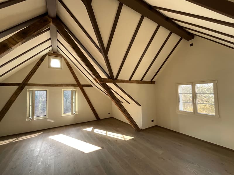 Charming old building meets new construction: FIRST RENTAL 4.5 room apartment (17)