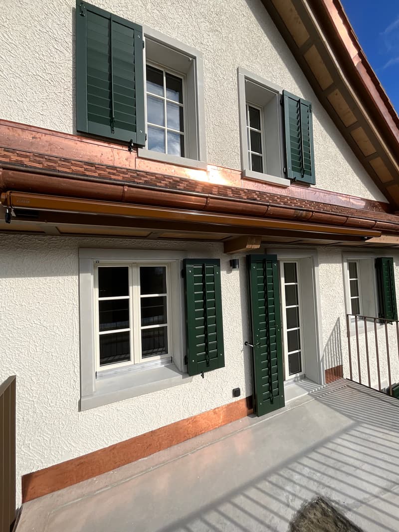 Charming old building meets new construction: FIRST RENTAL 4.5 room apartment (27)