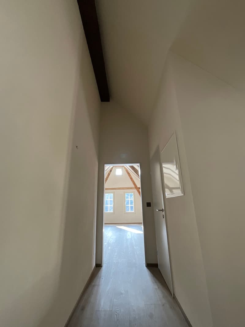 Charming old building meets new construction: FIRST RENTAL 4.5 room apartment (12)