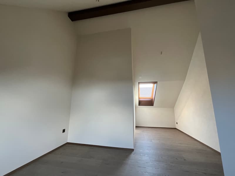 Charming old building meets new construction: FIRST RENTAL 4.5 room apartment (14)