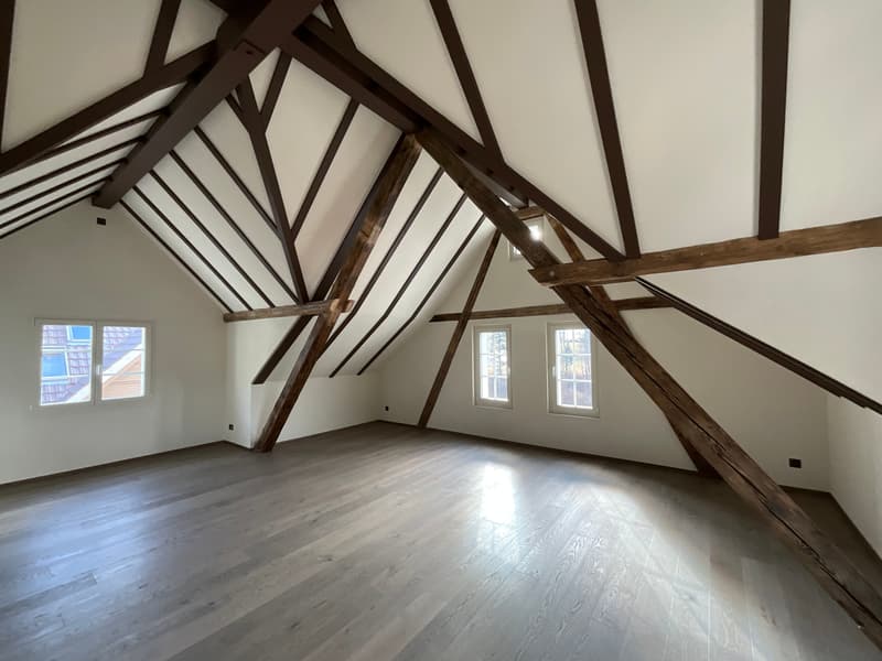 Charming old building meets new construction: FIRST RENTAL 4.5 room apartment (22)