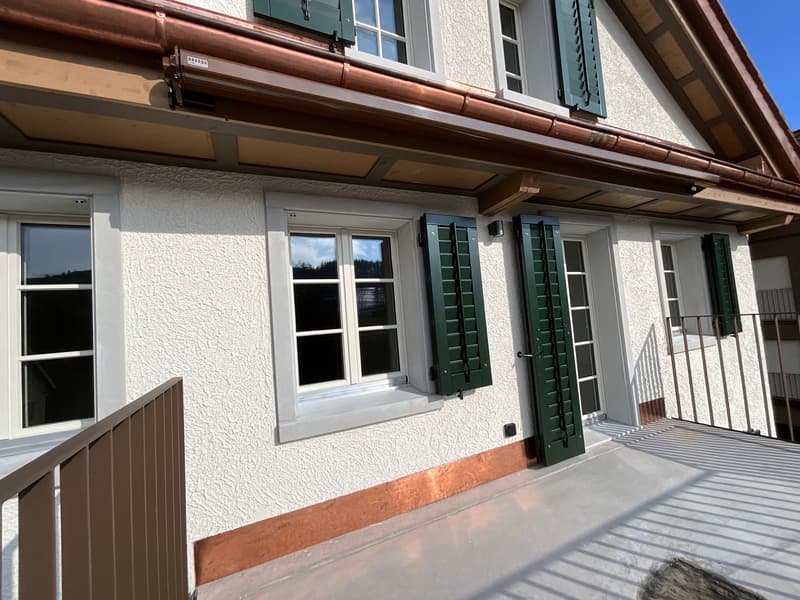 Charming old building meets new construction: FIRST RENTAL 4.5 room apartment (30)