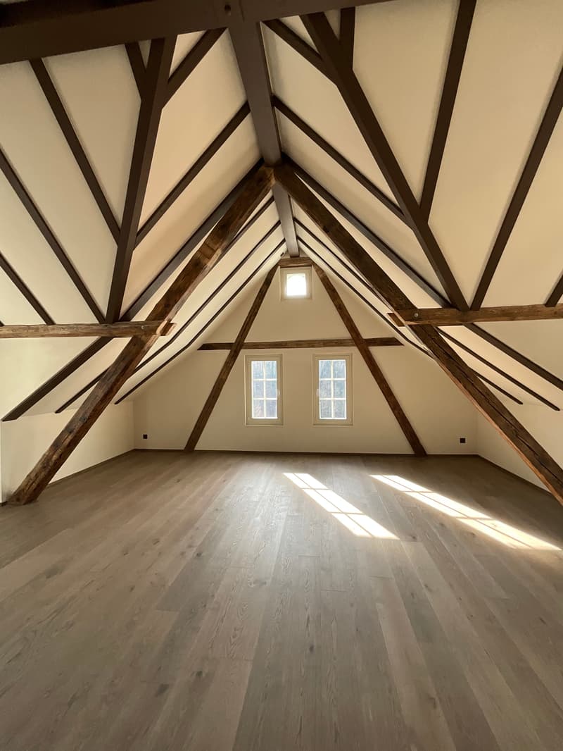 Charming old building meets new construction: FIRST RENTAL 4.5 room apartment (16)