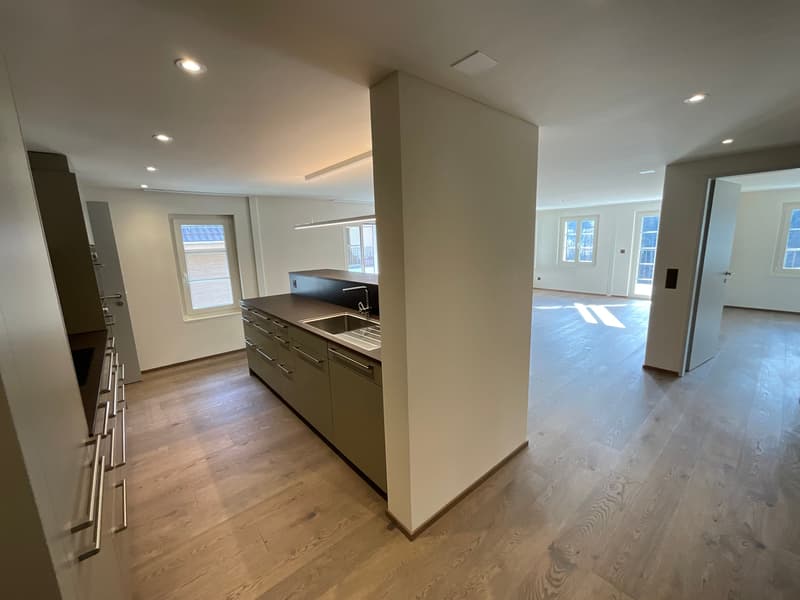 Charming old building meets new construction: FIRST RENTAL 4.5 room apartment (10)