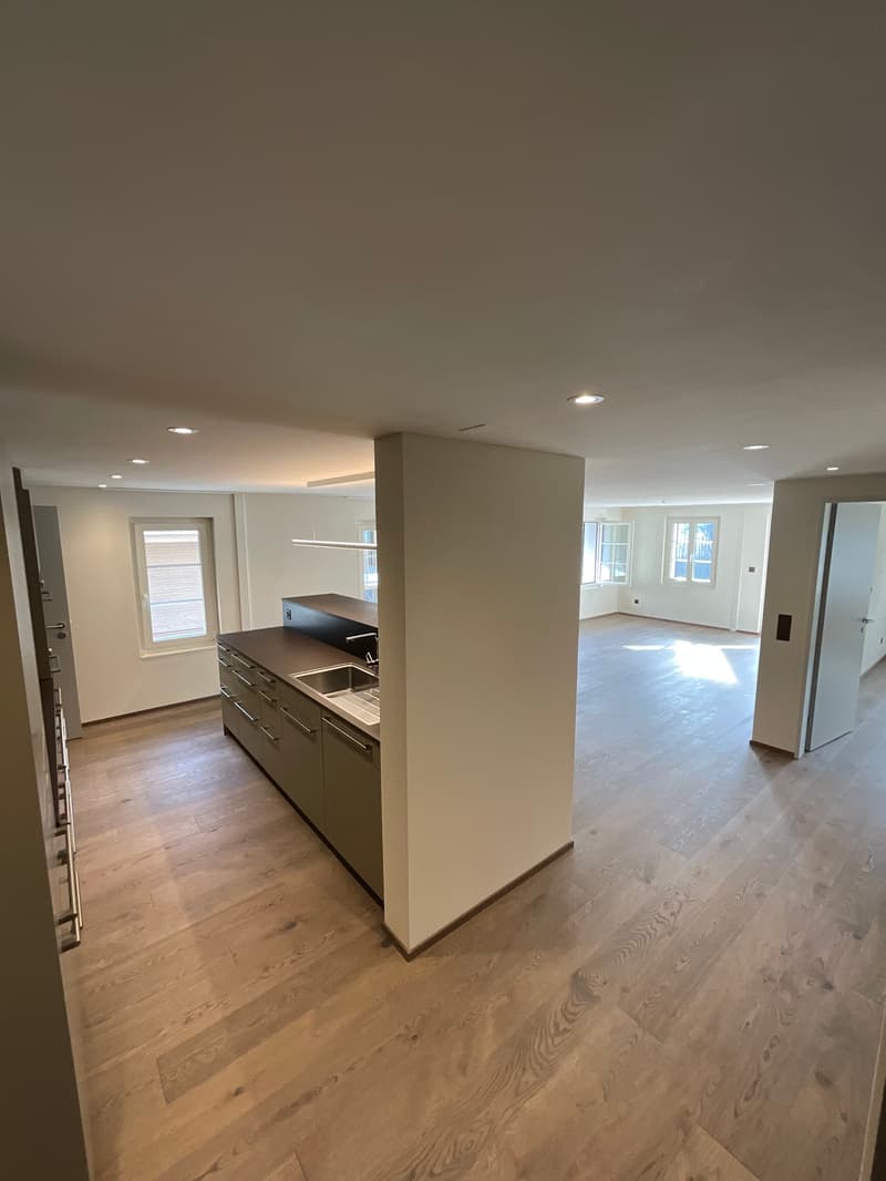 Charming old building meets new construction: FIRST RENTAL 4.5 room apartment (23)