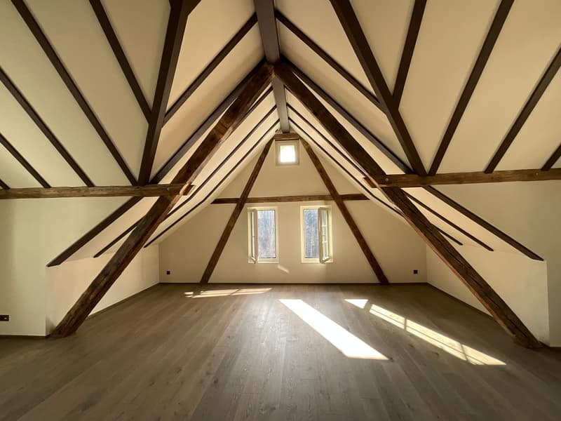 Charming old building meets new construction: FIRST RENTAL 4.5 room apartment (2)