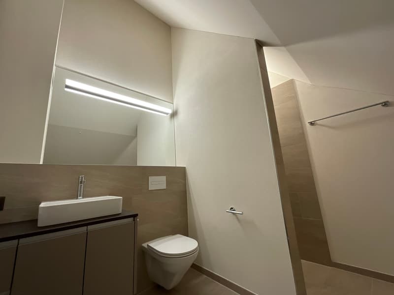Charming old building meets new construction: FIRST RENTAL 4.5 room apartment (19)