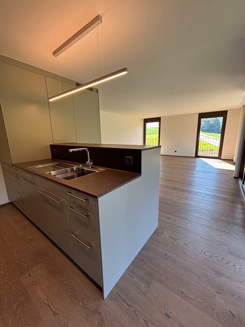Grosse 3.5 Zimmer-Wohnung mit zwei Balkonen Nähe Türlersee (19)