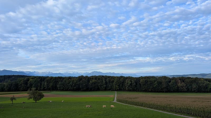 3.5-Zimmer-Garten-Wohnung mit atemberaubendem Ausblick und Zusatzraum (24)