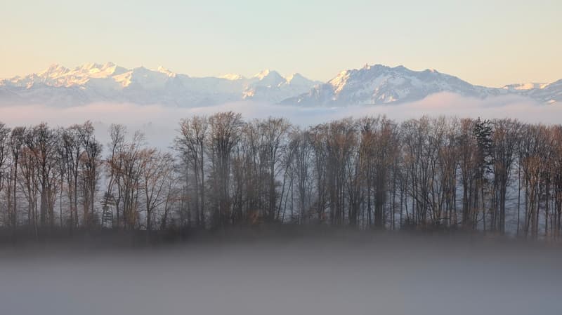 3.5-Zimmer-Garten-Wohnung mit atemberaubendem Ausblick und Zusatzraum (19)