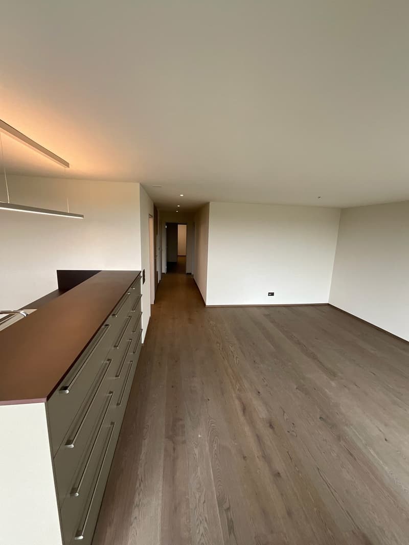 3.5-Zimmer-Garten-Wohnung mit atemberaubendem Ausblick und Zusatzraum (10)