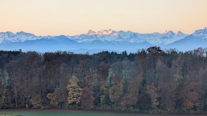 3.5-Zimmer-Garten-Wohnung mit atemberaubendem Ausblick und Zusatzraum (18)