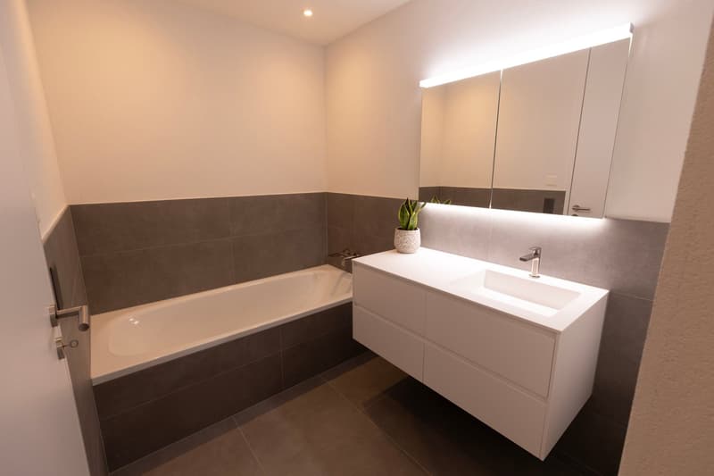 ERSTBEZUG: 4.5-Zimmer-Maisonette-Wohnung - Neubau in Hersberg (26)