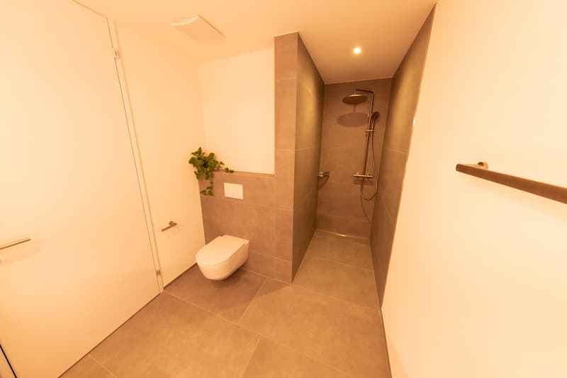 ERSTBEZUG: 4.5-Zimmer-Wohnung - Neubau in Hersberg (18)