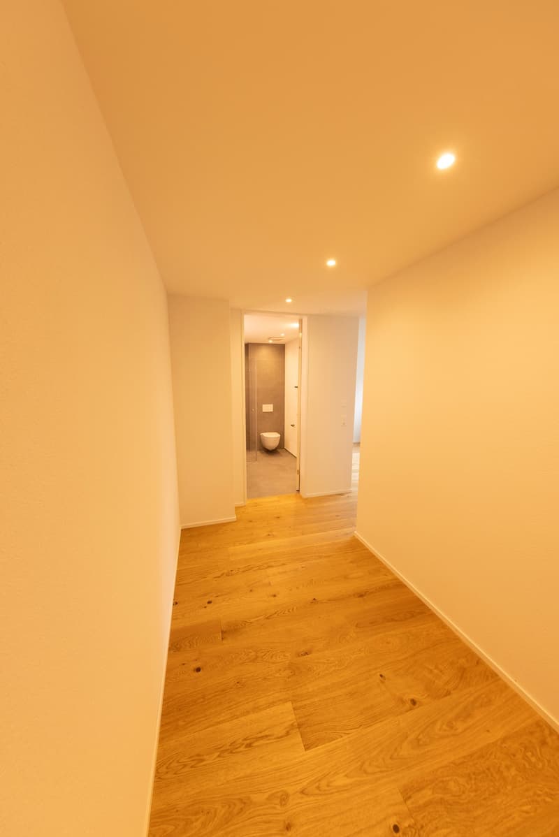 ERSTBEZUG: 4.5-Zimmer-Maisonette-Wohnung - Neubau in Hersberg (23)