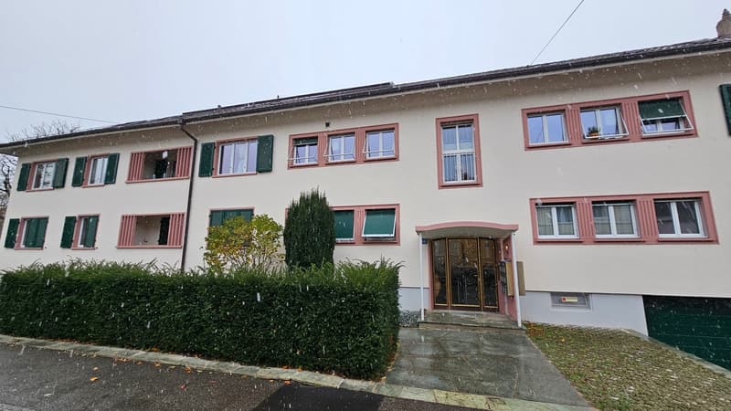 Schön renovierte 3.5 Zimmer-Wohnung mit 65m2 Wohnfläche und Balkon in den ruhigen Innenhof (1)