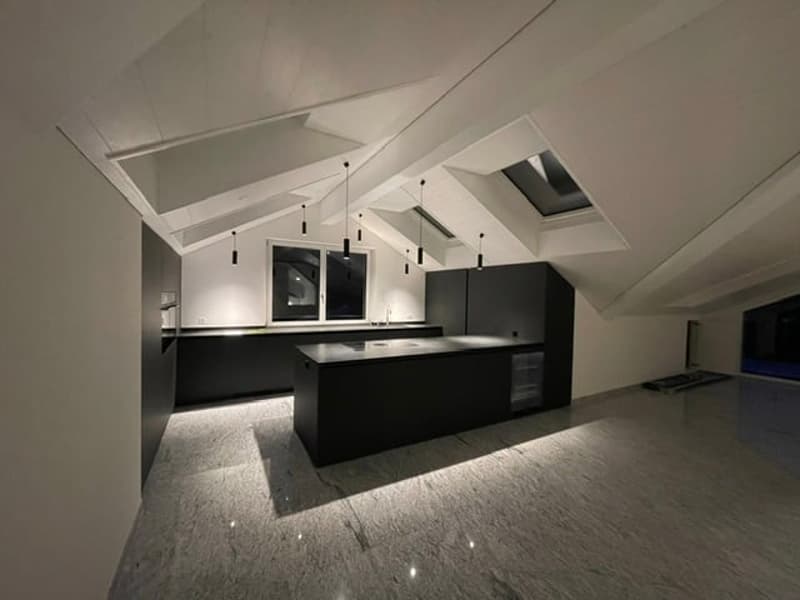 ERSTBEZUG: 4.5-Zimmer-Wohnung - Neubau in Hersberg (1)