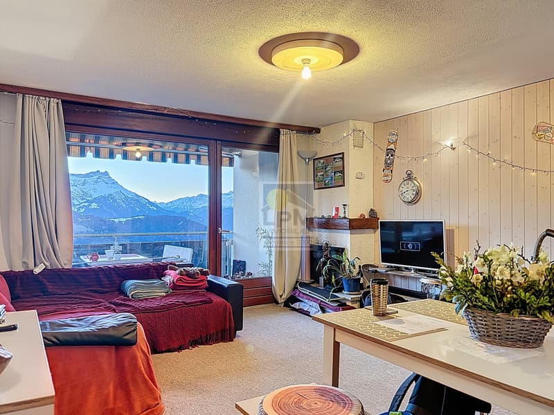 Appartement 2,5 pièces avec vue imprenable. (3)