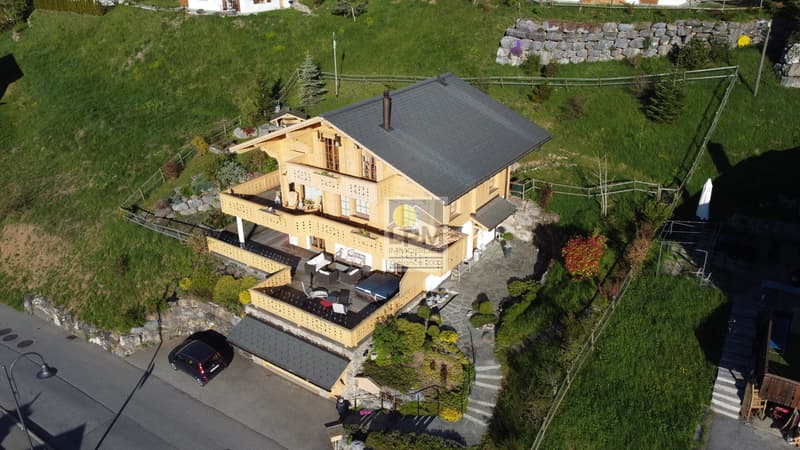 Chalet familial avec emplacement exceptionnel proche des télécabines (1)