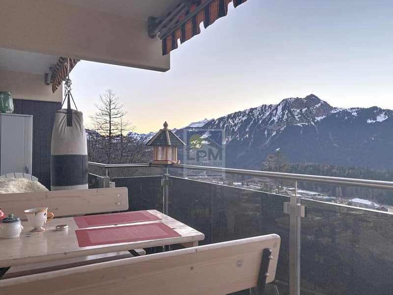 Appartement 2,5 pièces avec vue imprenable. (2)