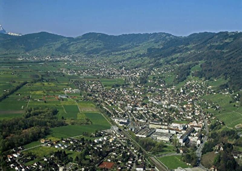 Sanierungsobjekt in Balgach: Einfamilienhaus mit Umschwung, für Umbauer und Handwerker (1)