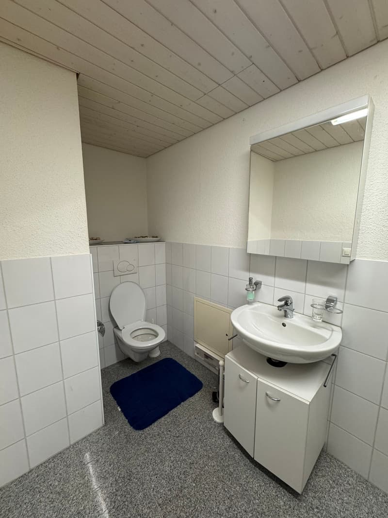 Bathroom with white tiles, white sink, white toilet, mirror, blue rug, white cabinet