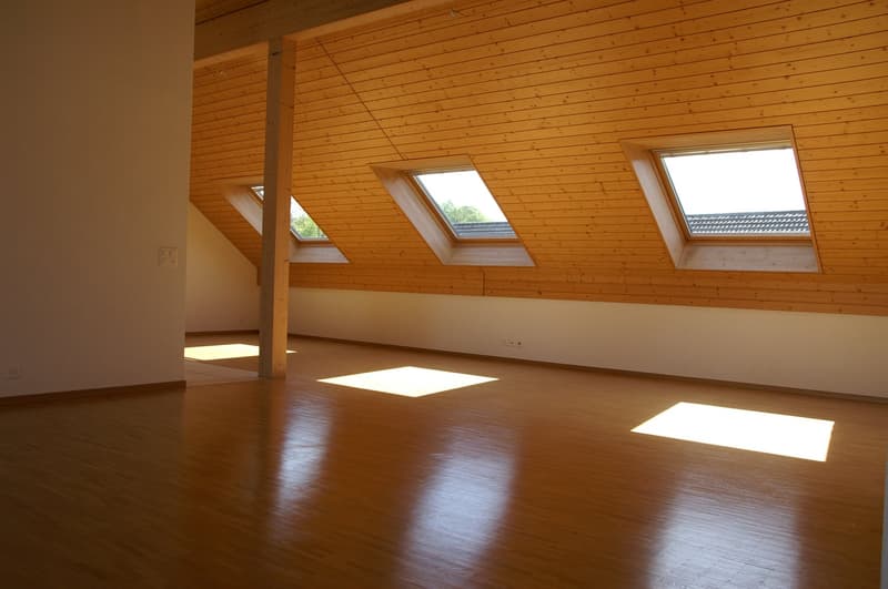 empty room, wooden floor, wooden ceiling, three skylights