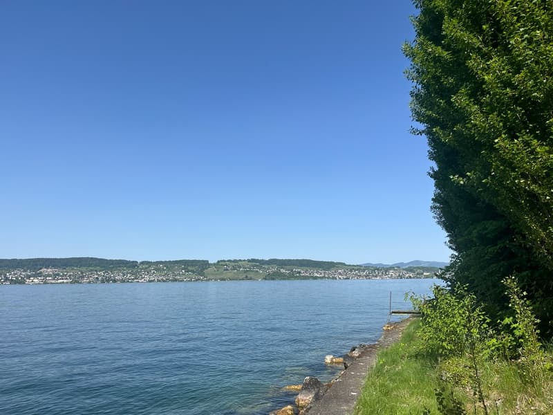 Unique opportunity - living on the Giessen peninsula in Wädenswil (9)