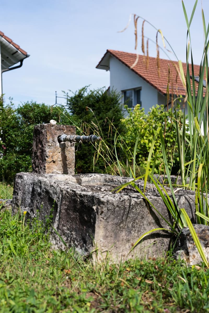 Gartenidylle über Regensdorf – Ihr neues Zuhause für die ganze Familie (25)